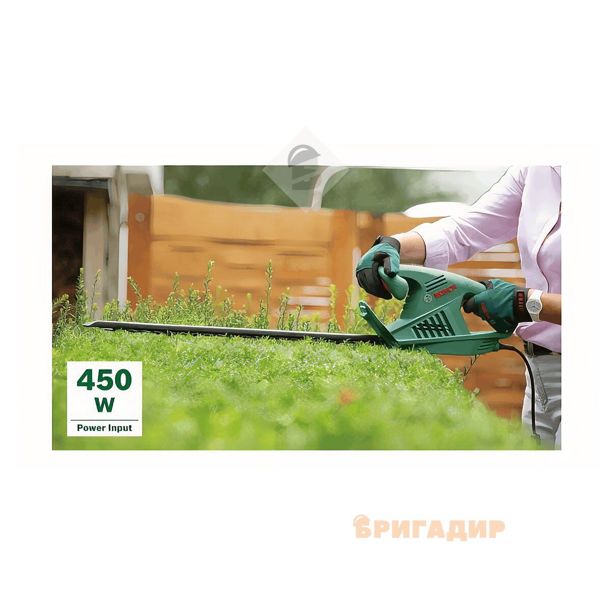 Кущоріз Bosch EasyHedgeCut 55 зблизька